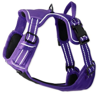 Pet Passion MAX - THE Hardy Reflective Harness, Purple, XX-Large - color: PURPLE, size: XX-Large (70-110 lbs)