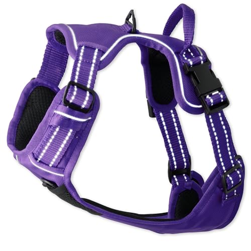 Pet Passion MAX - THE Hardy Reflective Harness, Purple, Large - color: PURPLE, size: Large (40-60 lbs)
