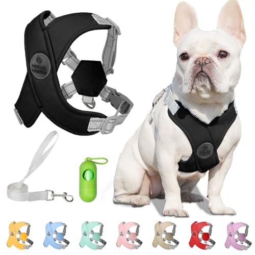 Dog Harness with Leash Set Adjustable Soft Padded Step-in Dog Vest No Choke No Pull Reflective for Small Pets with Poop Bags and Dispenser, Solid and No-chew, Black XS - color: Black, size: XS (Neck 16-19.1'' Chest 18.8-21.5'')