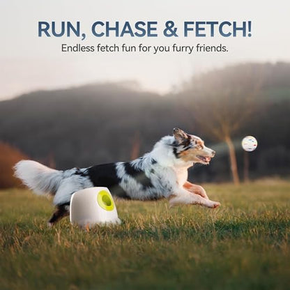 ALL FOR PAWS Automatic Ball Launcher for Dogs, Interactive Puppy Pet Balls Outdoor Thrower for Medium to Large Dogs, Ball Throwing Machine for Dogs, 6 ETPU Balls Included(2.5"), Rechargeable Battery - size: 2.5"ball launcher