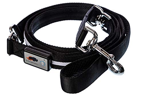 BLAZIN Light Up Dog Leash LED - 1,000 Feet of Visibility - USB Rechargeable Waterproof Glow in The Dark Dog Leash - 6 Foot, Black