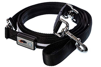 BLAZIN Light Up Dog Leash LED - 1,000 Feet of Visibility - USB Rechargeable Waterproof Glow in The Dark Dog Leash - 6 Foot, Black