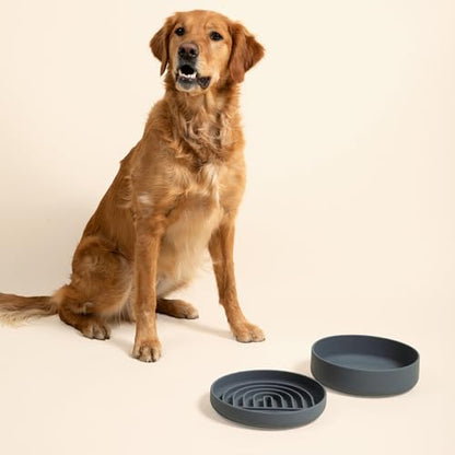 Should We Go? Slow Feeder for Dogs & Puppies, The Slowdown Bowl Silicone Slow Eating, Modern Lick Mat Design, Reduces Gulping, Fits 2.5 Cups 9.5” Across x 1.5” Tall, Mealtime Challenge, Large-Charcoal - color: Charcoal - Rainbow Design, size: Large (9.5”