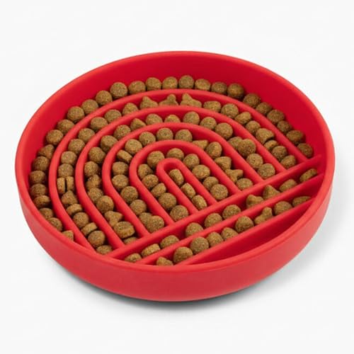 Should We Go? Slow Feeder for Dogs & Puppies, The Slowdown Bowl Silicone Slow Eating, Modern Lick Mat Design, Reduces Gulping, Fits 2 Cups, 7.5” Across x 1.5” Tall, Mealtime Challenge, Medium-Cherry - color: Cherry - Rainbow Design, size: Medium (7.5” Acr