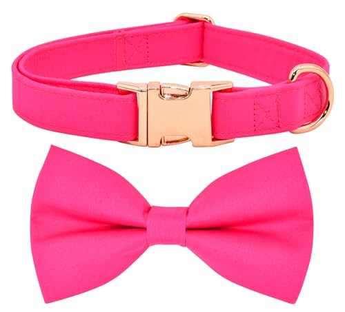 Soild Fushcia Dog Bow Tie Dog Collar Accessory, Detachable Bowtie, Adjustable Collar for Small Medium Large Dogs - color: Soild Fushcia, size: S (10 --16")