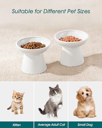 vancasso Elevated Cat Food Bowls 2-Pack, 6.2" Wide Shallow Cat Feeding Bowl for Whisker Fatigue, 5.1" Height Ceramic Raised Food Bowls for Senior Cats, Anti Vomit, White - color: White-Food 2-pack