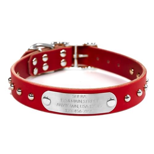 Handmade Studded Bridle Leather Dog Collar, Silver Tone Hardware and Stainless Steel Nameplate (Red) - color: Red