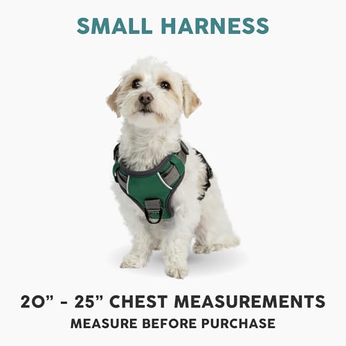 Embark Adventure Small Dog Harness – No-Pull, Reflective Trim, Military-Grade Nylon, Front Clip with Gel-Lined Handle - color: Green, size: S