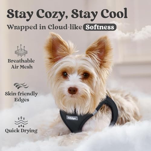 rabbitgoo Small Dog Harness, Step-in Soft Mesh Puppy Vest with Safety Buckle, Breathable Reflective Pet Harness for Extra Small Dogs, Black XXXS - color: Black, size: Xxxs(chest:10.8"-11.8")
