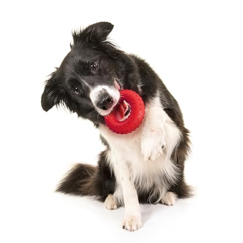 Playology Dog Toys | Dual Layer Ring Durable Dog Toy for Tough Chewers | Beef Scented Medium Chew Toy for Dogs - size: Medium, style: Beef