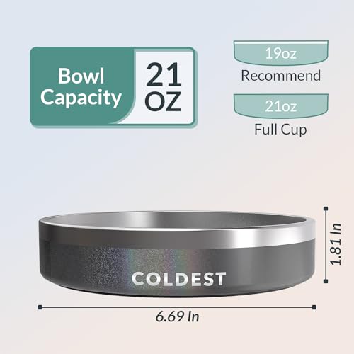 Coldest Dog Bowl - Anti Rust Metal, Non Slip, 3 Layers Insulated Stainless Steel Dog Bowls - Spill Proof & Heavy Duty - Water Bowl for Dogs, Cats & Pets, Dish Washer Safe (21 oz, Stardust Glitter) - color: Stardust Glitter, size: 21 oz