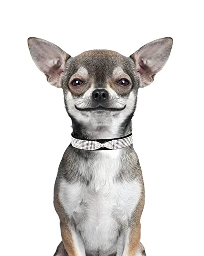 Dog Collar for Small Dogs, Adjustable Leather Suede Bling Dog Collars，Pink Dog Collar Cat Collar, Rhinestone Dog Collar (XS, black4) - color: black4, size: XS