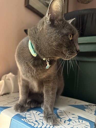 2 Pack Breakaway Cat Collar with Bells,Adjustable Moon and Star Kitten Safety Collars for Boys & Girls,Purple+Teal - color: Teal+Purple