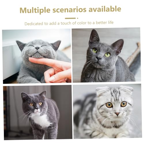 Interactive Cat Teaser Wand with Plush and for Kitten Exercise and Hunting Instinct Stimulation