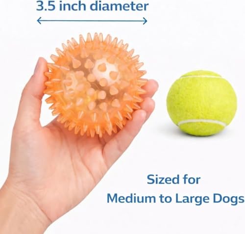 Squeaky Spiky Dog Ball for Teeth Cleaning & Gum Massage 3.5 Inch Medium Large Dogs Orange | Spiny TPR Rubber Chew Toy for Fetch Play Interactive Bouncy Dental Ball Durable BPA Free Nontoxic Floats - size: Orange, Ball - 1 Pack
