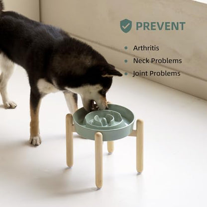 Havniva 8.2” Raised Slow Feeder Dog Bowls, 1.6 Cups Ceramic Dog Bowl Slow Feeding for Medium Breed, Elevated Puzzle Dog Food Bowl with Wooden Stand Non-Slip Anti-Gulping & Anti-Choking - color: 1 x Light Green+Stand-A, size: 8.2inch