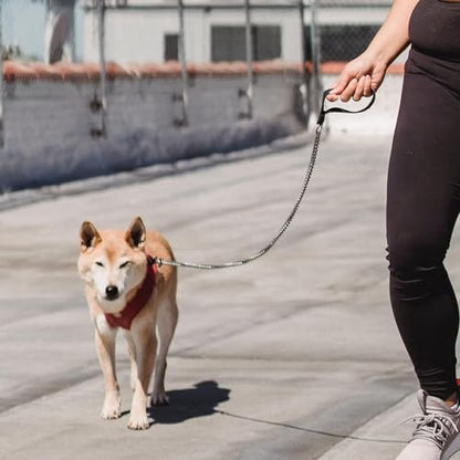 Chain Heavy Duty Metal Dog Leash, 4FTx3mm Chew Proof Pet Leash Chain with Soft Padded Handle for Large & Medium Size Dogs Walking, Training and Traveling (0-80 lbs) - size: 4FTx3mm (0-80 lbs)