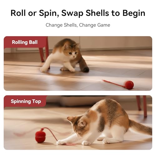 Cheerble 2 in 1 Interactive Cat Toys for Indoor Cats - Wicked Ball Duo2 Automatic Cat Toy, Dual Interchangeable Shells, Electric Cat Toy Ball with Chirping Sounds, Rechargeable Moving Kitten Toys, Red - color: Red
