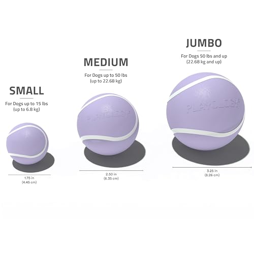 Playology Dog Toys | Squeaky Chew Ball - Bouncy Durable Floating Fetch Ball for Dogs | Jumbo Lamb Scented Toy - Easy to Clean and Made from Non Toxic Materials - size: Jumbo, style: Lamb