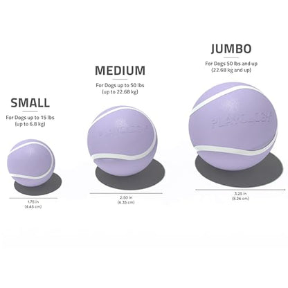 Playology Dog Toys | Squeaky Chew Ball - Bouncy Durable Floating Fetch Ball for Dogs | Jumbo Lamb Scented Toy - Easy to Clean and Made from Non Toxic Materials - size: Jumbo, style: Lamb