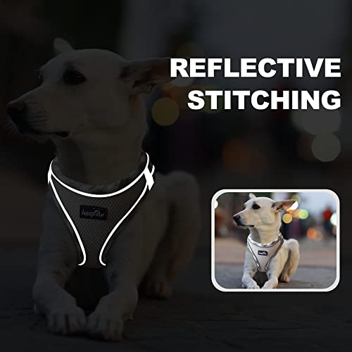 haapaw Dog Harness with Leash Set, No Pull Adjustable Reflective Step-in Puppy Harness with Thickened Padded Vest for Extra-Small/Small Medium Dogs - color: Beige, size: M
