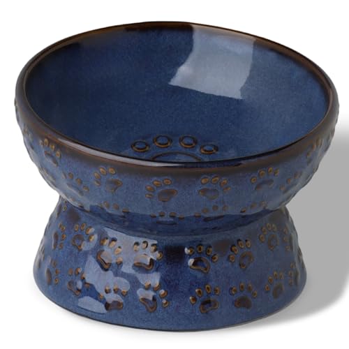GDCZ Elevated Ceramic Puppy Bowl, 5 Oz Raised and Tilted Water Bowl, Pet Bowl for Small Dog, Fat Faced Cat, Kitten (Blue) - color: Blue
