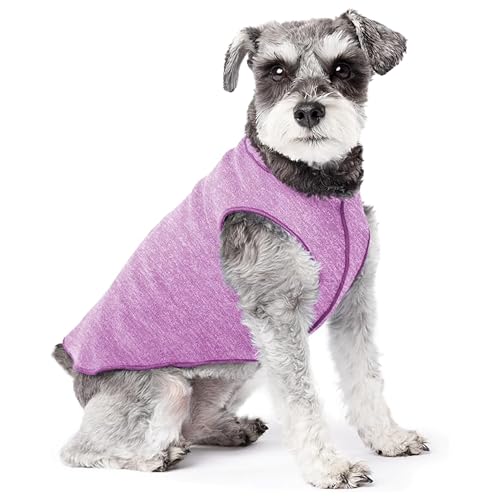 Goldpaw Dog Sun Shirt with UV Protection - Lightweight, Cooling Sun Protection Clothing for Small Dogs - Reduce Heat Absorption - Made in the USA - Machine Washable - Violet - Size 10 - color: Violet, size: 10