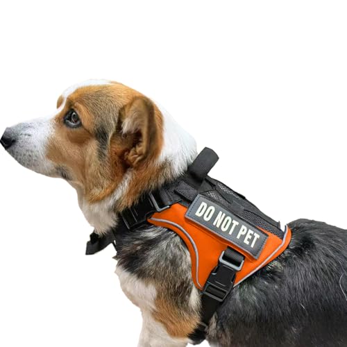 Tactical Dog Harness for Small and Medium Breeds, Air Dog Vest No Pull with Reflective Do Not Pet Patches, Breathable Dog Molle Vests for Training Walking Hunting Orange - color: Orange, size: M