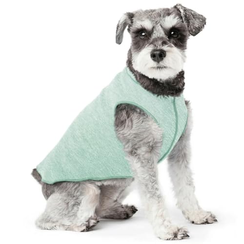Goldpaw Dog Sun Shirt with UV Protection - Lightweight, Cooling Sun Protection Clothing for Small Dogs - Reduce Heat Absorption - Made in the USA - Machine Washable - Pistachio Green - Size 10 - color: Pistachio Green, size: 10