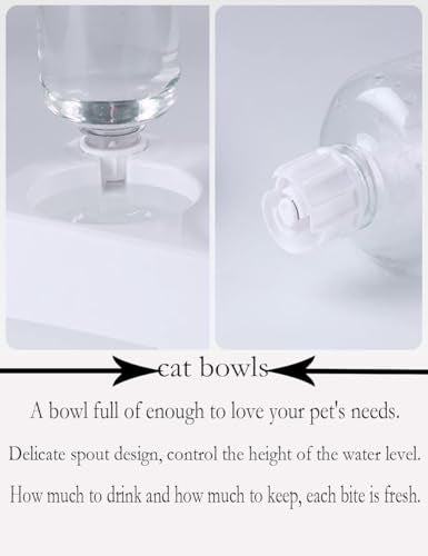 Cat Bowls, Pet Food Bowls, 15° Tilted Cat Bowl for Indoor Cats, Dog Food and Water Bowl Set