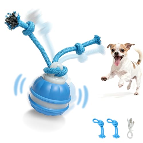 Interactive Dog Toys Dog Ball,Automatic Rolling and Bouncing Moving Dog Toy,Squeaky Rolling Balls with Flashing Light,USB Rechargeable Chew Toys for Puppy Small Dogs, Pet Ball to Keep Them Busy - color: Blue