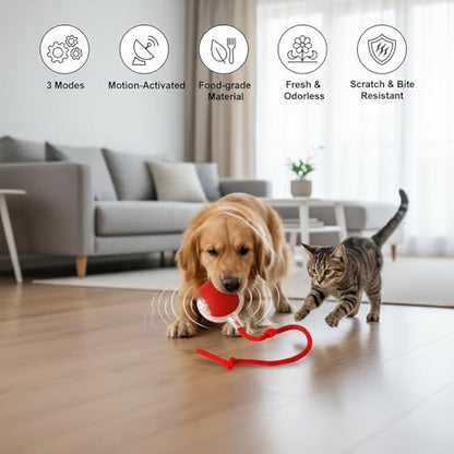 Interactive Cat Toys Ball for Cats - Upgrade Automatic Cat Toys for Indoor Cats, 3 Modes 2 Speed Moving Cat Ball (Green) - color: Green