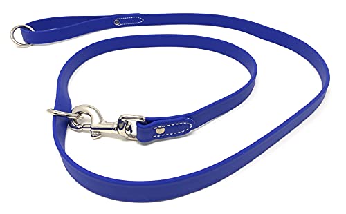 Regal Dog Products Waterproof Leash – 5 ft. Blue Dog Leash with Easy to Use Collar Hook, Lightweight, and Proof Training Pet Lead with Vinyl-Coated Webbing for Small, Medium, Large, or XL Dogs - color: Blue
