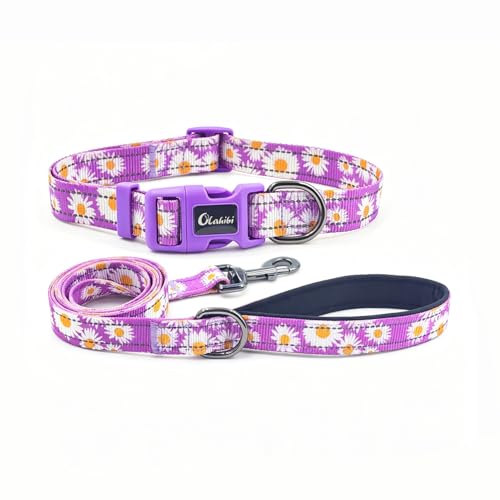 Dog Collar Leash Set, Floral Pattern, with Safety Reflective Strips, 5 ft Matching Leash, Neoprene Padded Handle, Adjustable 4 Sizes for Small Medium Large Dogs.(XS, Purple Daisy) - color: Floral Daisy Purple, size: Extra Small