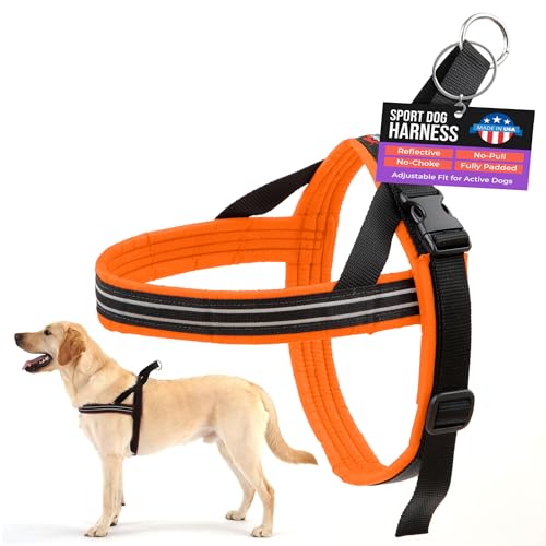 ComfortFlex Sport Dog Harness – No-Choke, Fully Padded, Non-Chafing Harness with Control Handle – Reflective, Lightweight, Adjustable for Active Dogs - Large, Hunter Orange - color: Hunter Orange, size: Large