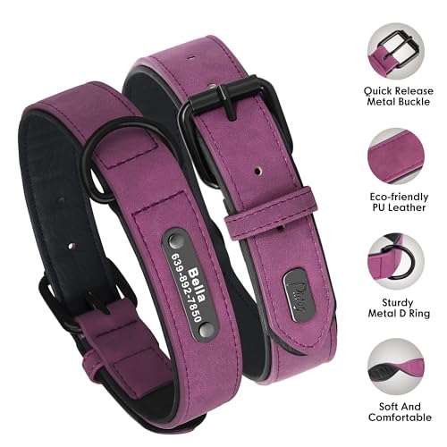 Didog Custom PU Leather Dog Collars with Personalized Engraving Nameplate,Personalized Padded Dog Collars Engraved for Small Medium Dogs,Purple,M Size - color: Purple, size: M: Fit 11-14"Neck