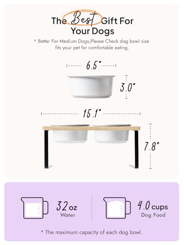 Elevated Dog Bowls, Raised Dog Bowl Stand with Two 6.5 inch Ceramic Bowl, Non-Slip Puppy Food and Water Bowls, Dogs Feeder for Small and Medium Breed, White - color: White, size: 6.5inch