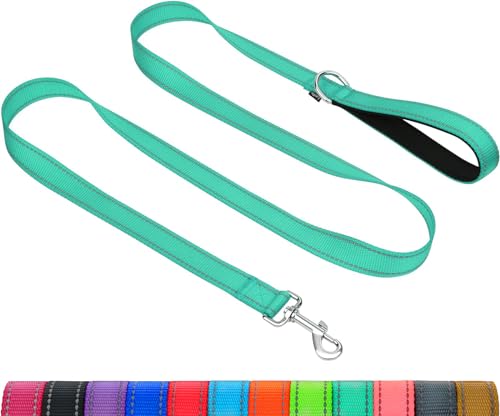 Taglory Dog Leash for Medium Large Dogs, Double-Sided Reflective for Night Walking, Neoprene Padded Handle, 1 inch by 4 ft, Heavy Duty for Medium Large Breeds 20-150 lbs, Turquoise - color: Turquoise, size: 1 in x 4 ft (Pack of 1)