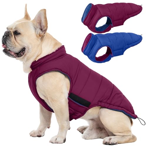 QBLEEV Reversible Dog Coat for Medium Dogs, Waterproof Windproof Winter Jacket Keeps Dogs Warm in Snow, Adjustable Hook & Loop Lightweight Dog Puffer Vest, Purple, L – Fits French Bulldog - color: Violet-Blue, size: Large