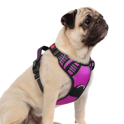 rabbitgoo Dog Harness Small Sized, No Pull Dog Vest with 3 Buckles, Adjustable Soft Padded Pet Harness with Easy Control Handle and Reflective Strips, Purple, S - color: Purple, size: Small