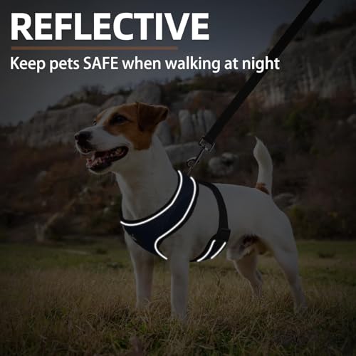 PUPTECK Soft Mesh Dog Harness and Leash Set Pet Puppy Cat Comfort Padded Vest No Pull Harnesses, Solid NavyBlue, XS - color: NavyBlue, size: XS (NECK: 10", CHEST: 10"-14")