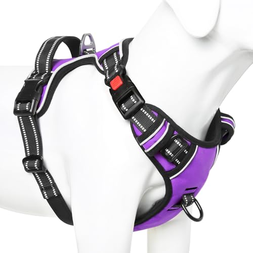 Dog Harness Small Sized, No Pull with Neck Lockable Snap,No Choke Front Clip Dog Reflective Harness,Adjustable Metal Rings 3 Buckles,Easy Control Handle for Small Dogs Purple S - color: Lock Purple, size: Small (Pack of 1)