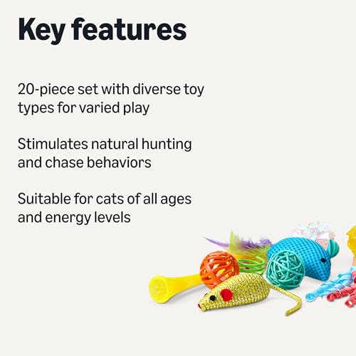 Amazon Basics Cat Toy Set, 20 Piece Variety Pack with Teaser, Ball, Feather, Spring - style: cat toy kits