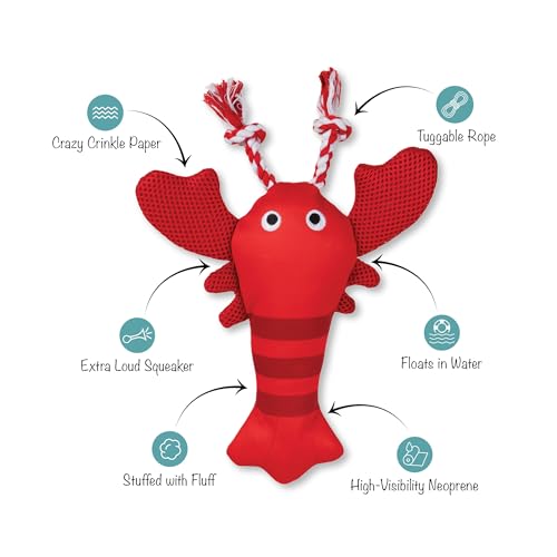 Fringe Studio Floating Dog Toy with Rope Feeling Claw-Some, Pet Shop Collection (640027) - color: Feeling Claw-Some