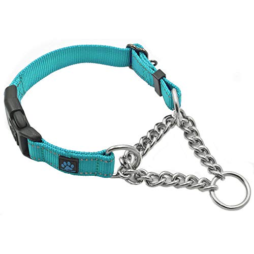Max and Neo Stainless Steel Chain Martingale Collar - We Donate to a Dog Rescue for Every Collar Sold (Small, Teal) - color: TEAL, size: Small