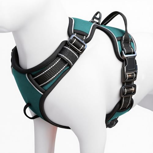 No Pull Dog Harness, No Chock Reflective Adjustable Soft Padded Pet Vest with Easy Control Handle, Easy Wearing with Stylish, Reinforced Knot, 2 Buckles - color: Glacial Teal, size: X-Small
