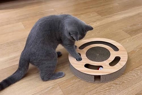 Cat Toy 3in 1 Kitten Puzzles Toys for Bored Indoor Cats with Cardboard and 2 Bell Balls Round Cats Scratcher