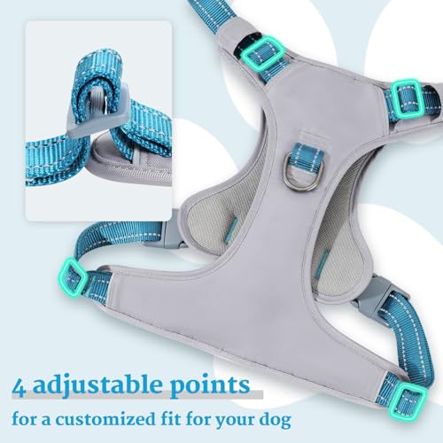 Huntboo No-Pull Dog Harness, Fully Reflective Vest with 2 Leash Clips, No-Choke, Adjustable, Breathable & Durable for Small, Medium & Large Dogs Walking, Training, Running (Teal Blue, L) - color: Teal Blue, size: Large (Pack of 1)