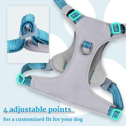 Huntboo No-Pull Dog Harness, Fully Reflective Vest with 2 Leash Clips, No-Choke, Adjustable, Breathable & Durable for Small, Medium & Large Dogs Walking, Training, Running (Teal Blue, L) - color: Teal Blue, size: Large (Pack of 1)