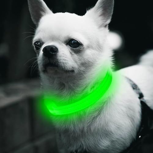 BSEEN Light Up Dog Collars - Glowing LED Dog Collar Rechargeable Puppy Collar for Small Dogs & Cats, Safety Dog Lights for Night Walking (Green) - color: Green